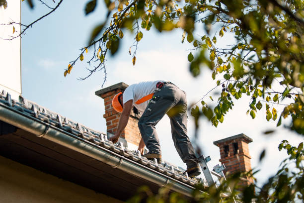 Best Roof Maintenance Services  in Folsom, PA